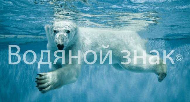 как на фото нанести водяной знак онлайн как на фото нанести водяной знак